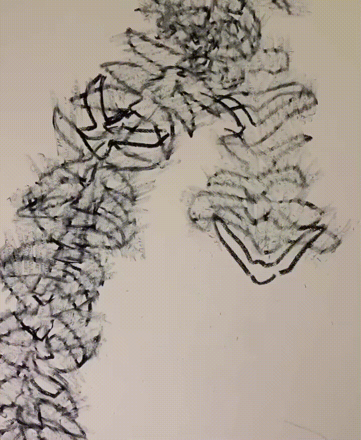 Melbourne artist Rebecca Jones - Animation - Acts of Translation