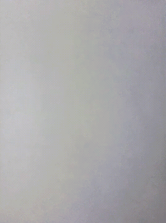 Melbourne artist Rebecca Jones - Animation - Charcoal Bird