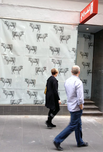 The Meatball and Wine Bar's front window during renovations