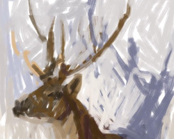 Melbourne artist Rebecca Jones - Digital - Snow (3)