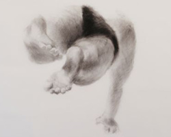 Melbourne artist Rebecca Jones - Artwork - Drawing - Swimming - Depth - Coast