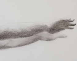 Melbourne artist Rebecca Jones - Artwork - Drawing - Swimming - Depth - Saturday Morning II
