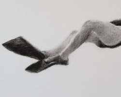 Melbourne artist Rebecca Jones - Artwork - Drawing - Swimming - Depth - Saturday Morning IV