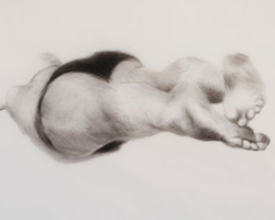 Melbourne artist Rebecca Jones - Artwork - Drawing - Swimming - Depth - Streamline