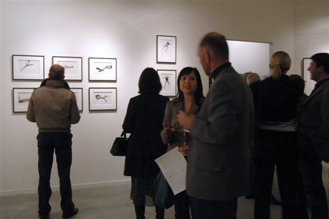 Melbourne artist Rebecca Jones - Exhibition - Depth (2007)