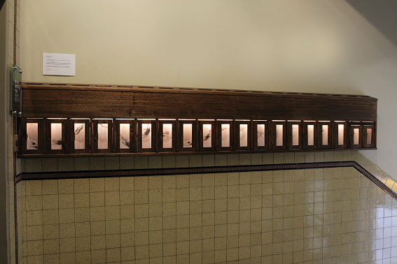 Melbourne artist Rebecca Jones - Exhibition - Water (2008)