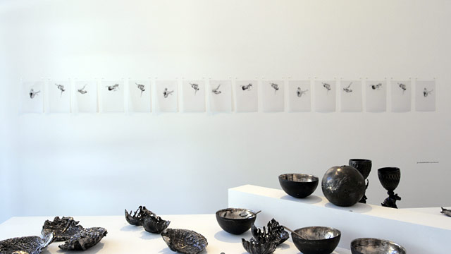 Melbourne artist Rebecca Jones - Exhibition - Launch 3 (2010)