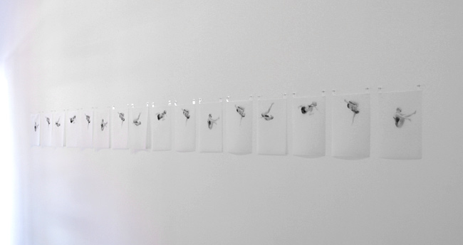 Melbourne artist Rebecca Jones - Exhibition - Launch 3 (2010)