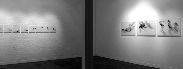 Melbourne artist Rebecca Jones - Exhibition - Open Water (2010)