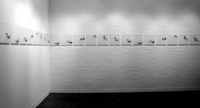 Melbourne artist Rebecca Jones - Exhibition - Open Water (2010)