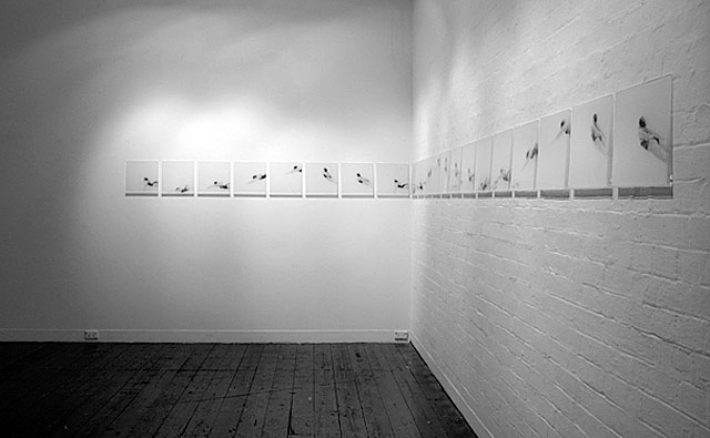 Melbourne artist Rebecca Jones - Exhibition - Open Water (2010)