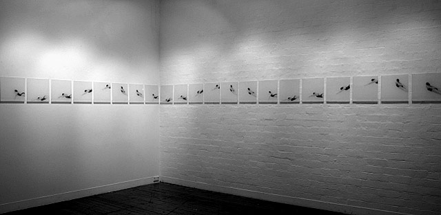 Melbourne artist Rebecca Jones - Exhibition - Open Water (2010)