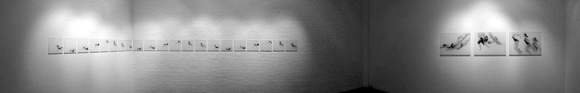 Melbourne artist Rebecca Jones - Exhibition - Open Water (2010)