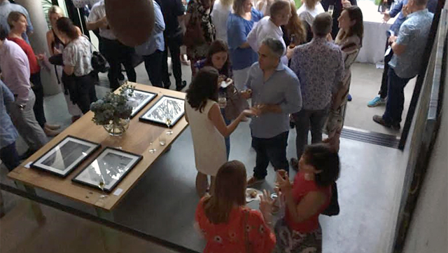 Melbourne artist Rebecca Jones - Exhibition - Private Show (2019)